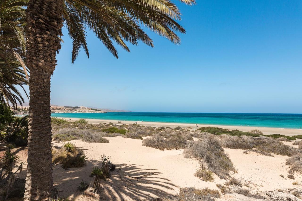 Home2book Stunning Sultan Casa Estrella, Wifi&pool Hébergement de vacances *